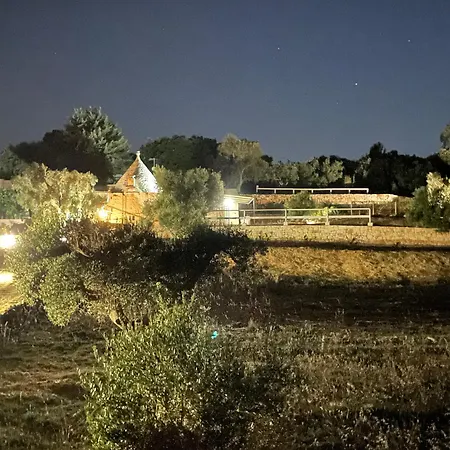 Trullo Il Querciolo 3* 奥斯图尼